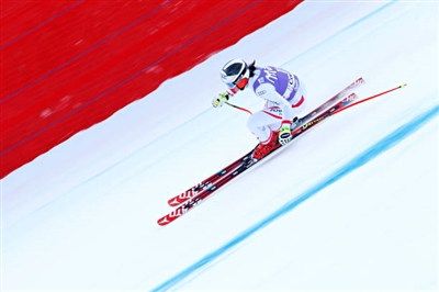 Stephanie Venier Poster 3637922