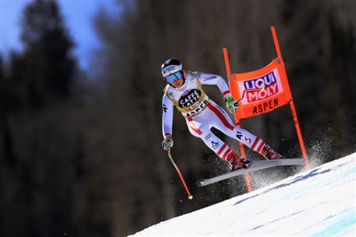 Stephanie Venier Poster 3637925