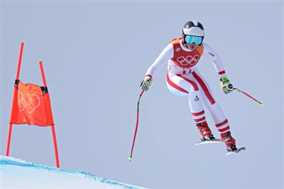 Stephanie Venier Poster 3637927