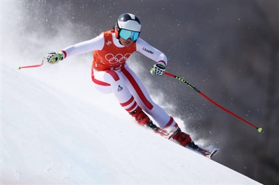 Stephanie Venier Poster 3637931