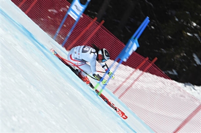 Stephanie Venier Poster 3637936
