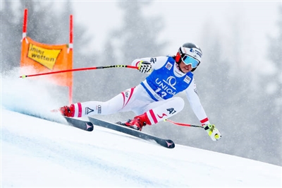 Stephanie Venier Poster 3637938