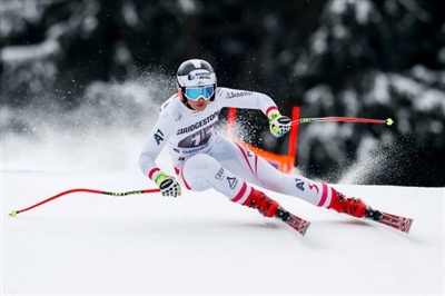 Stephanie Venier Poster 3637940