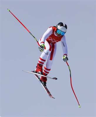 Stephanie Venier Poster 3637942