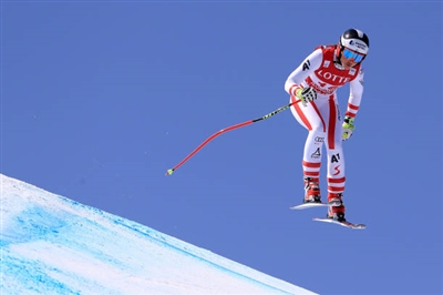 Stephanie Venier Poster 3637944