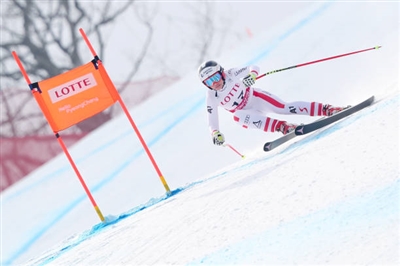 Stephanie Venier Poster 3637946