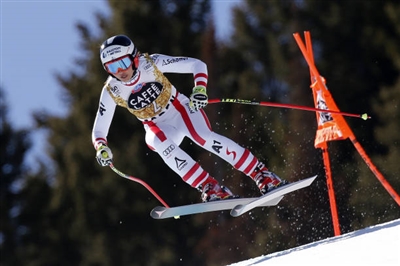 Stephanie Venier Poster 3637947