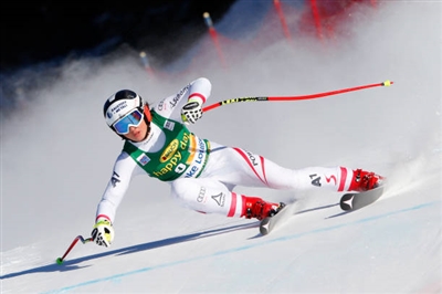 Stephanie Venier Poster 3637951