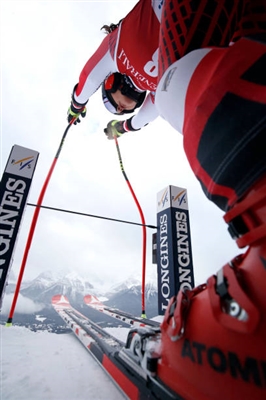 Stephanie Venier Poster 3637953
