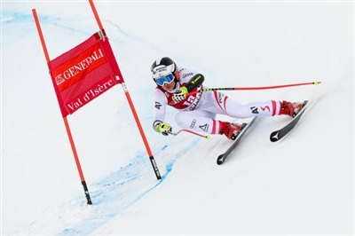 Stephanie Venier Poster 3637954