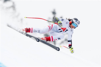 Stephanie Venier Poster 3637957
