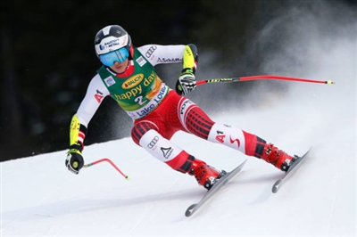Stephanie Venier Poster 3637958