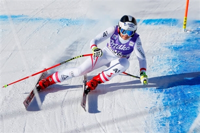 Stephanie Venier Poster 3637959