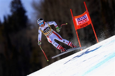 Stephanie Venier Poster 3637962