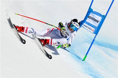 Stephanie Venier Poster 3637966