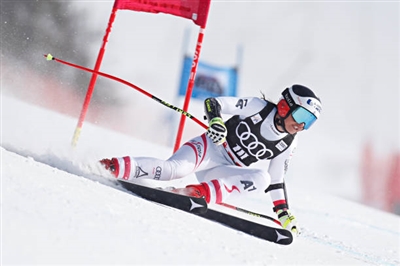 Stephanie Venier Poster 3637969