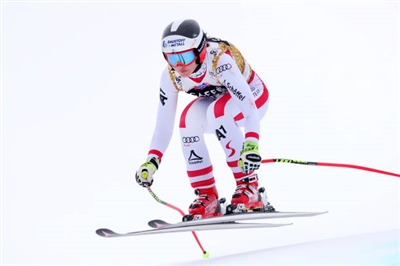 Stephanie Venier Poster 3637974
