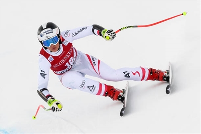 Stephanie Venier Poster 3637976