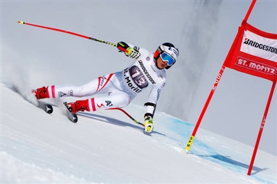 Stephanie Venier Poster 3637977