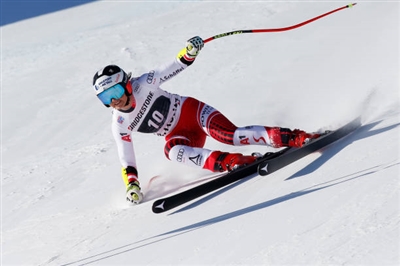 Stephanie Venier Poster 3637978