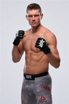 Stephen Thompson Poster 3524370