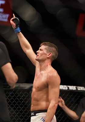 Stephen Thompson Poster 3524381