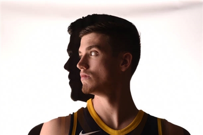 TJ Leaf Poster 3417847