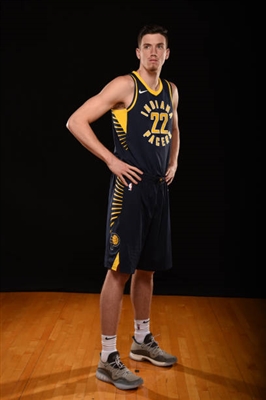 TJ Leaf Poster 3417865