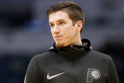 TJ Leaf Poster 3417881