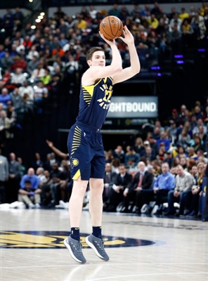 TJ Leaf Poster 3417882