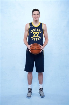 TJ Leaf Poster 3417886