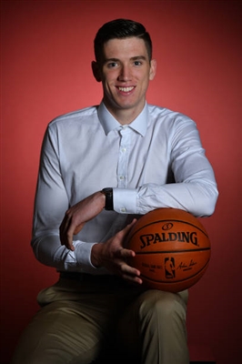 TJ Leaf Poster 3417889