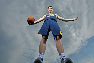 TJ Leaf Poster 3417891