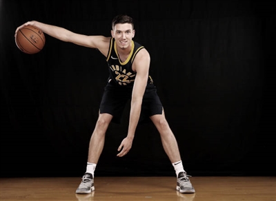 TJ Leaf Poster 3417897