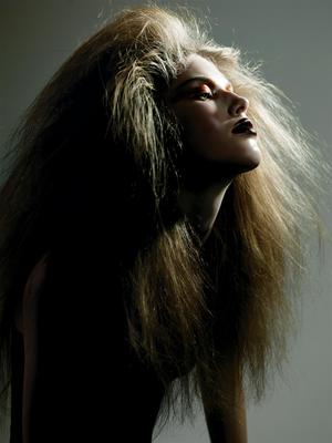 Taryn Davidson Poster 2113978