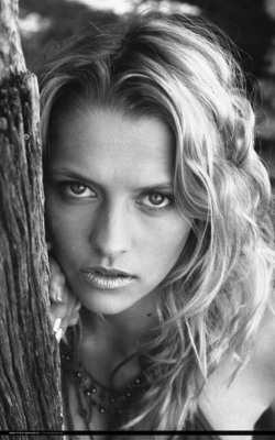 Teresa Palmer Poster 1993128