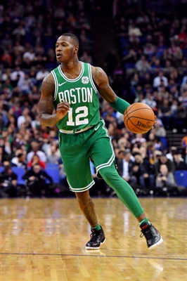 Terry Rozier Poster 3442262