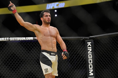 Thiago Santos Poster 3524680