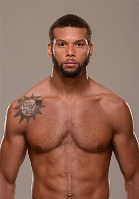 Thiago Santos Poster 3524690