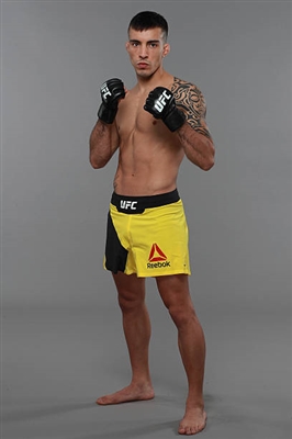 Thomas Almeida Poster 3524766