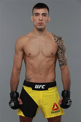 Thomas Almeida Poster 3524798