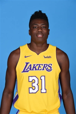 Thomas Bryant Poster 3379207