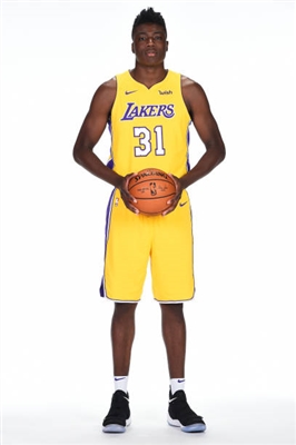 Thomas Bryant Poster 3379239