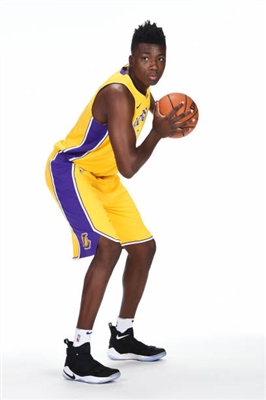 Thomas Bryant Poster 3379378