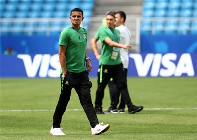 Tim Cahill Poster 3356542