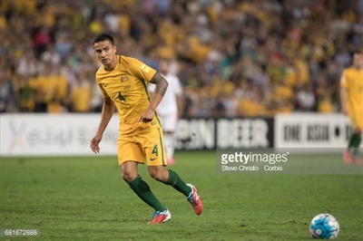 Tim Cahill Poster 3356545