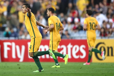 Tim Cahill Poster 3356556