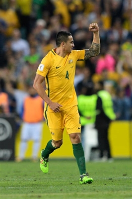 Tim Cahill Poster 3356557