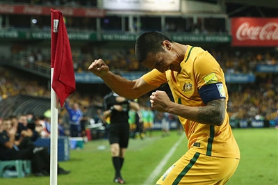 Tim Cahill Poster 3356558