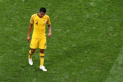 Tim Cahill Poster 3356559